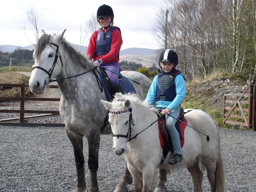 Eclipse Holiday Homes & Adventure Centre Kenmare Zewnętrze zdjęcie