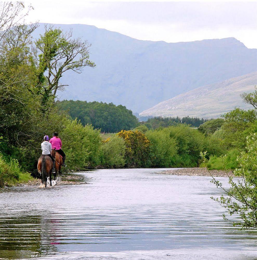 Eclipse Holiday Homes & Adventure Centre Kenmare Zewnętrze zdjęcie